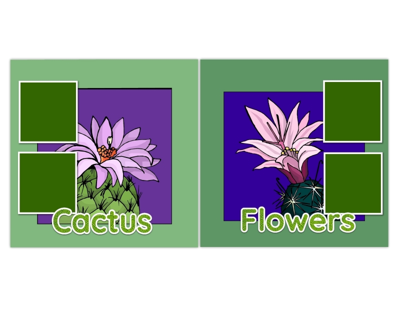 (image for) Cactus Flowers